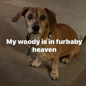 Meet your Posher, Charleen